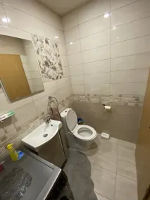 Flexible apartment in Slovenian Styria - Image 2