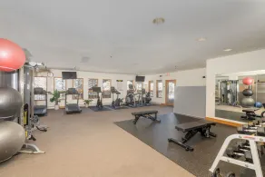 Bear Creek Lodge 309C by Alpine Lodging Telluride - Image 3