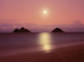 Præmievinder - Hawaii's Hidden Hideaway - Bed and Breakfast - Image 5