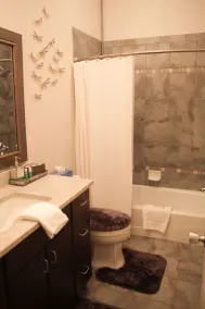 MAGNIFIQUE LOFT AU COEUR DU QUARTIER HISTORIQUE - Image 4
