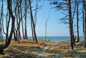 Ferienwohnung mit Balkon am Bodstedter Bodden - Image 3