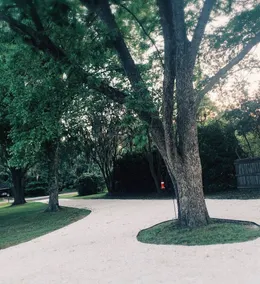 Private Cottage + Mins to Downtown Savannah River Street.  - Image 4