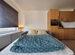 Bright Central Apartment in Middelkerke - Image 5