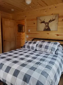 Newer Construction Cabin - Waterfront, Wooded, on ATV/Snowmobile trails - Image 4