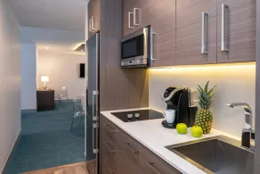 Suite 9, Largest Suite - Image 5