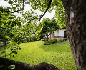 Apartment with garden in the center - Image 5