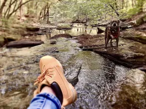 Ski Elk Mountain, hike, walk or bike Rail to Trails, fish, or star gaze. - Image 2