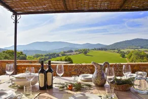 Villa Rosapesca: A characteristic and welcoming two-story villa located on top of a small hill, with Free WI-FI. - Image 3