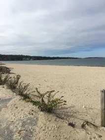 Quiet Cul de Sac, Sag Harbor Village 1 mi,  Heated Salt Water Pool w/ Waterfall - Image 4