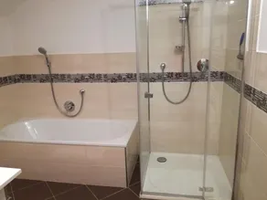 Comfort room with shower and toilet - organic farm Seemanngut - Image 3