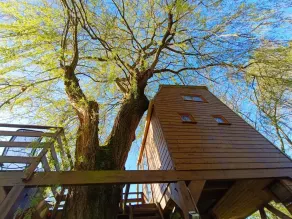 Cabane en Thiérache \"Dans un arbre perché\" - Image 3