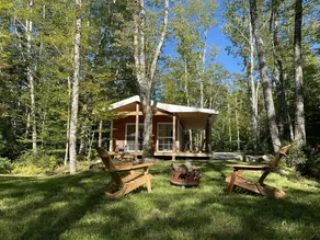 Bear Cabin - Cozy forest retreat near Lake (not on Waterfront) - Image 3