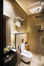 Roshin in Apartment  - Image 4