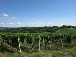 The house with 3 bedrooms and a large terrace with a view of the wine hills - Image 3