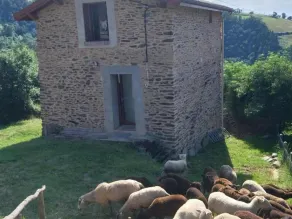 Gîte rénové avec terrasse et animaux acceptés à Saint-Chamond - Image 2