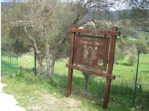 The Tigre Landsbygden - Image 4
