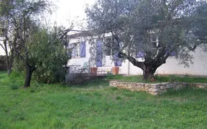 Villa Sophora in Lorgues - Image 3