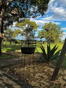 Rustic Farm with Pool Near Curvelo  - Image 3