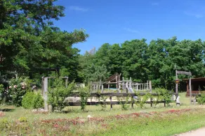 Vacation Room in the Forest - Terra Nova - Image 4