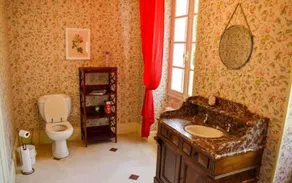 Maison de Maître with swimming pool for 12 people near Angoulême - Image 2