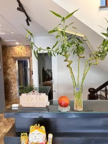 Mia House Da Lat - Image 2