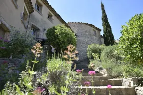 Mazet for 4 people. Les Garrigues Apt building of the valley of Baux Paradou - Image 4
