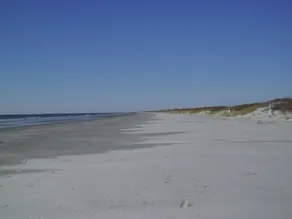 Familie und tierfreundlich An der West End von Sunset Beach! - Image 3