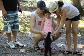 Family & pet friendly with Amazing View - Image 2