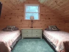 Located in the Finger Lakes a cabin in the country w/ trails & fishing   - Image 3