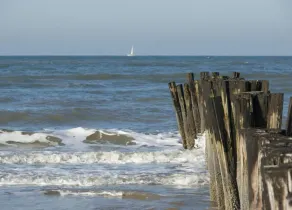 Stunning apartment in Schoorl, North Hollandâ you can bike to the beach - Image 5