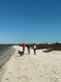 Private Beach &  Dock for Fishing!  Bring Dogs!  Still open for Thanksgiving! - Image 5