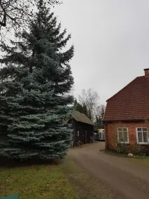 Schnuckelige Kleine Ferienwohnung Direkt an der Lübtheener Heide - Image 5
