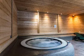Bis 100m skipiste, schwimmbad, sauna, hammam, balkon, fernseher, schließfach für die skier, 32m² - Image 2