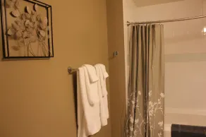131 Cedar 3 · Charming 2BR Luxury Apartment in Downtown Kalamazoo - Image 5