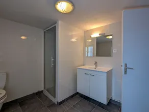 Charming Ground-Floor Cottage in Brenne with Enclosed Courtyard, Near Fishing and Birdwatching Spots - Image 2