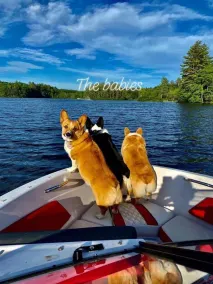 Welcome to the Lake - Image 4