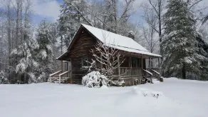Rustic Tiny Cabin - Image 5