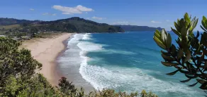 Paku Escape - Tairua Bach - Image 4