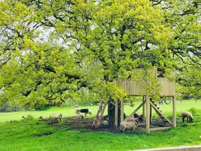 Barn End Cottage - Image 4