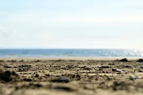 dZI8, un posto come nessun altro ... per una vacanza di successo! - Image 2