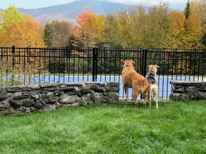 WOW New Spectacular Franconia Home - history - views - fire pit - hot tub - pool - grandeur - MUST SEE - Image 2