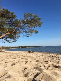 Vacation home Anker - peace, space & garden idyll in Zudar - Image 2