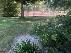 Spacious house in wooded grounds: Swimming pool/Jacuzzi and Tennis court - Image 2