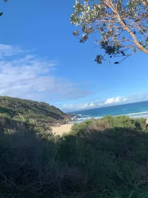 Immaculate designer house-sweeping views over iconic Blueys Beach 3min walk away - Image 5
