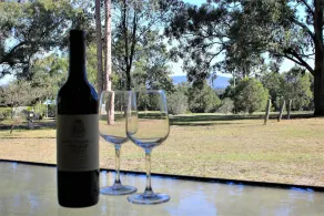 Blue Wren Villa Lovedale - Central to all wineries, restaurants & attractions - Image 3