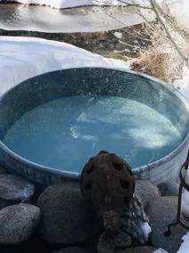 Style européen maison sur la rivière avec des sources chaudes naturelles - Image 3