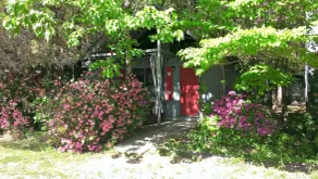 Bear Paw Cottage #6  King ; Close to Helen ;Pet Friendly;2 Adults/2 Children Max - Image 4