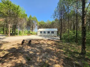 Couples Retreat cabin 2 - Image 3