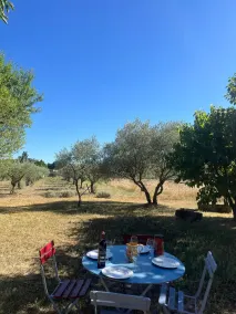 Taxa reduzida! Espaçoso refúgio de paz, com pátio e terraço perto de Uzès (St. Q) - Image 5