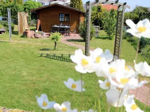 Moderne lejlighed med terrasse i Waldeck - Höringhausen - Image 3